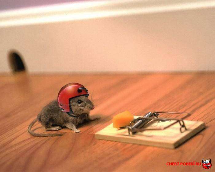 Юмор в картинках и фото - месть назойливой скуке