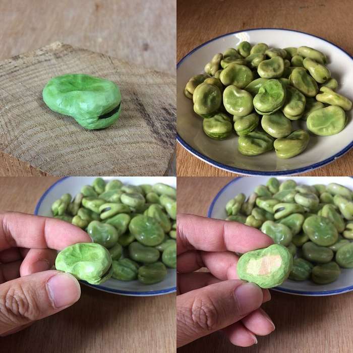 Японский художник делает невероятно реалистичную еду из дерева Японский художник делает невероятно реалистичную еду из дерева Интересное