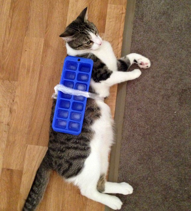 16 ситуаций, в которые сложно поверить, если не бывал в Австралии